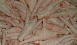 鸡爪养殖爆料视频播放大全,热门视频大全深度解析