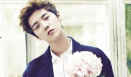 鹿晗女友爆料后续视频在线观看,真相揭秘，网友热议不断